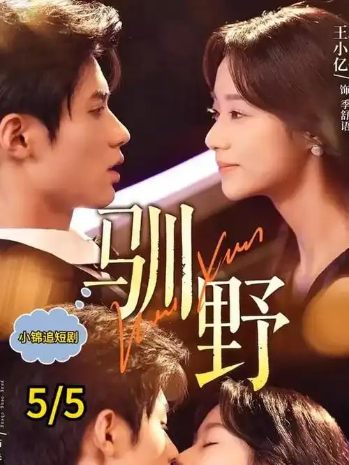 大明王朝1566 经典海报